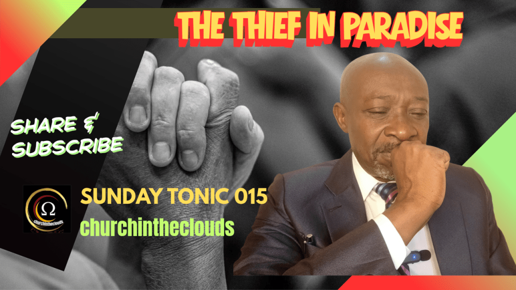 THE THIEF IN&nbsp;PARADISE